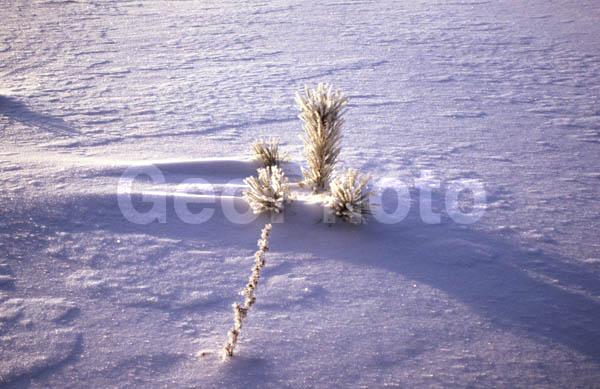 ������, �����, ���������� �������, ������, ����, ���, �������� ����, �������, ����, ������� ����, ������, ��������� ������, �������