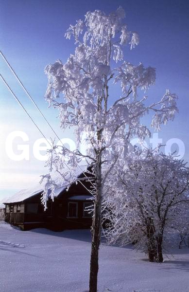 ������, ���������� �������, ������, ������, ����������� ����, ���, ����, ����, �������� ����, �������, ����, ������� ����, �������