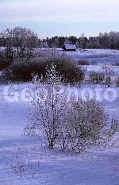 ������, ���������� �������, ����� ���������, ������, ������, ���, ����, ����, �������� ����, ���������� ����, �������, ����, ������� ����, �������