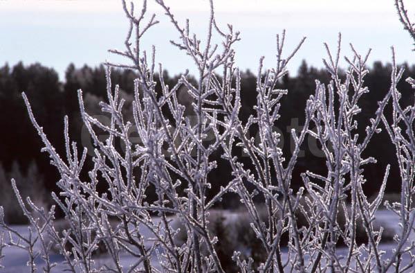 ������, ���������� �������, ����� � ����, ������, ����, ����, �������� ����, ����, ������� ����, �������