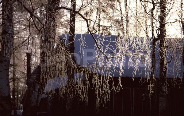 ������, ���������� �������, ������, �����, ������, ����, ����, �������� ����, ����, �������