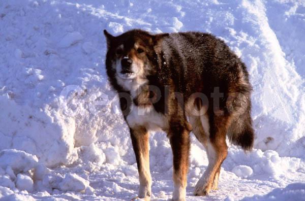 ������, ����������, ������, ���������, ����, ����, ���, �����, �������� ����, ����, ������, ������, �������, �����