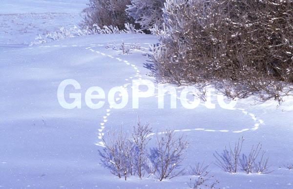 ������, ���������� �������, ����� ���������, ����, ������ ������, �����, �������� ����, ����, ����� �� �����, ����, �������, �����