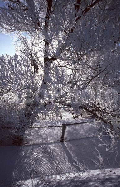 ������ � ����, ������, ���������� �������, ����� ���������, �������, ���, ����, ������ ������, ����, �����, �������� ����, ����, �������, �����