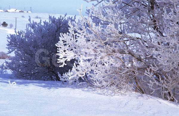 ������, ���������� �������, ����� � ����, ����, ������ ������, �����, �������� ����, ����, �������, �����