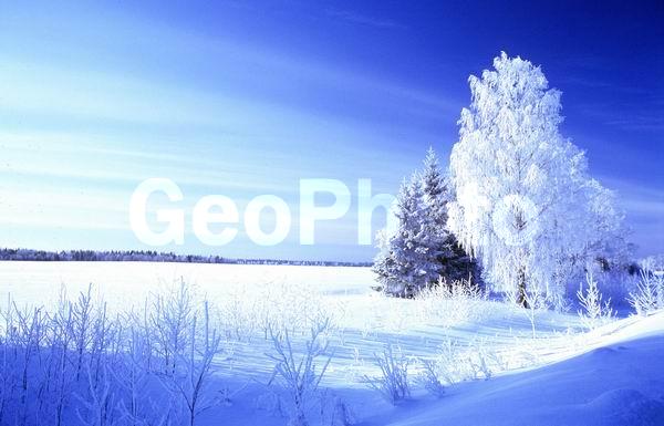 ������, ���������� �������, ������, ����������� ����, ����, ������ ������, �����, �������� ����, ����, �������, �����