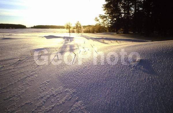 ������, ���������� �������, ����������� ����, ����, ������ ������, �����, �������� ����, �������, ����, �������, �����, �������� �������