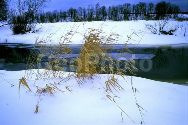 ������, ���������� �������, �����, �������, ����������� �������, ����������� ����, ����������� ����, ����, ����, ����� �����, ��������, �����