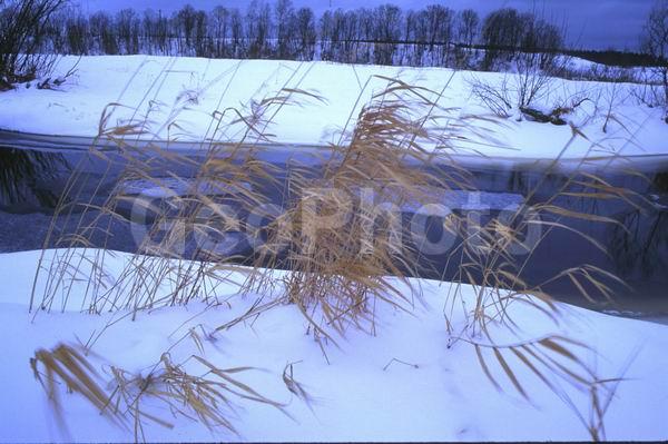 ������, ���������� �������, �����, �������, ����������� �������, ����������� ����, ����������� ����, ����, ����, ����� �����, ��������, �����