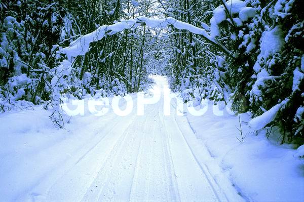 ������, ���������� �������, �����, �������, ������, ����, ���, ������ ������, ������ ����, ����, ����, ���������, �����