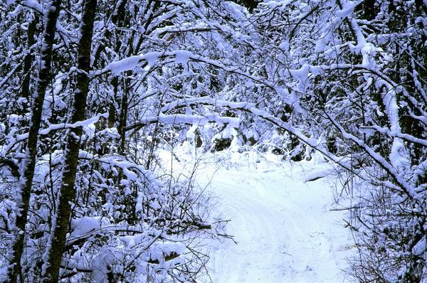 ������, ���������� �������, �����, �������, ������, ����, ���, ������ ������, ����, ����, ���������, �����