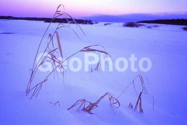 ������, ���������� �������, ������, �������, ����������� ����, ����������� ����, ����, �������� ����, ����, ����� �����, �����, �������� ������