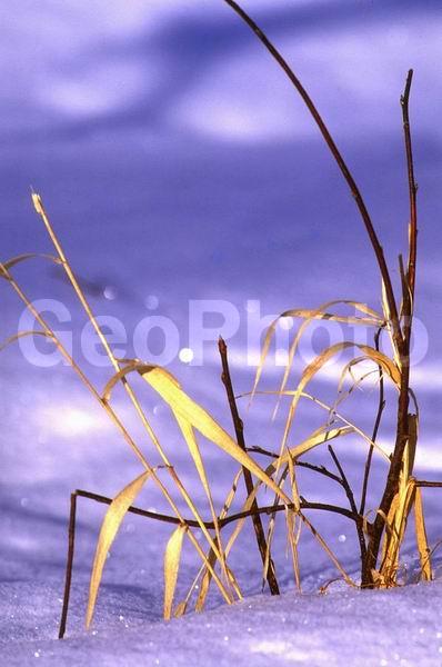 ������, ���������� �������, ����, ����, ����, �����, �������, ����, ����, ����� �����, �����, ����������� ������, ������