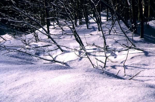 ������, ���������� �������, �����, ������, ����, ����, �����, �����, ����, ��������� ����, �����, ����������� ������, ������