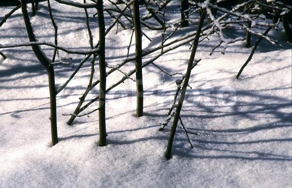 ������, ���������� �������, �����, ������, ����, ����, �����, �����, ����, ��������� ����, �����, ����������� ������, ������