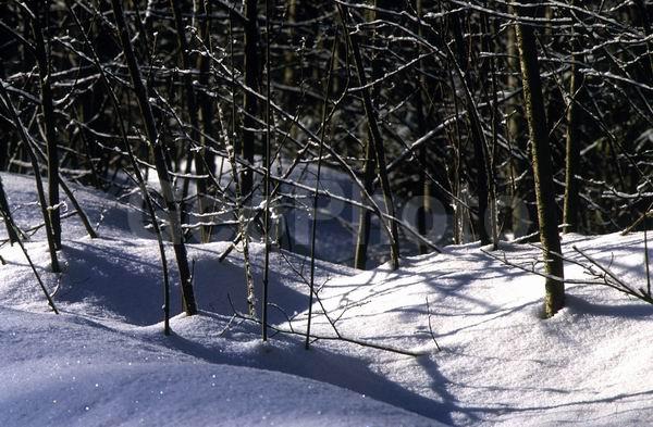 ������, ���������� �������, �����, ������, ����, ����, �����, �����, ����, ��������� ����, �����, ����������� ������, ������