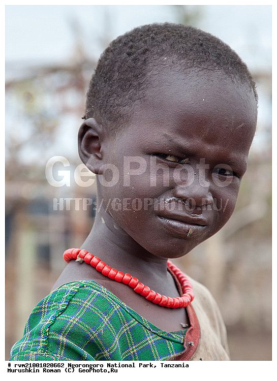 ������, �����, �����-�����, ����������, ��������, �������, ������, ������, ���������