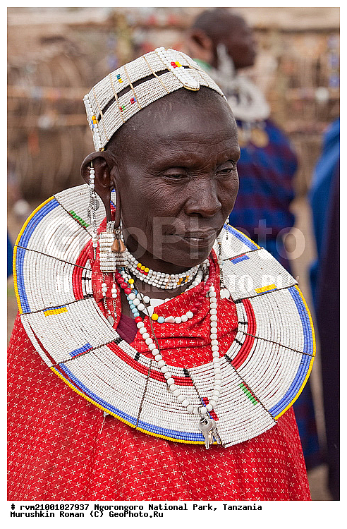 ������, �����, �����-�����, ����������, ��������, �������, ������, ������, ���������