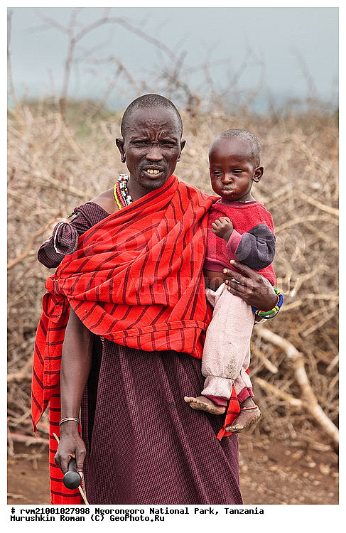 ������, �����, �����-�����, ����������, ��������, �������, ������, �������, ������