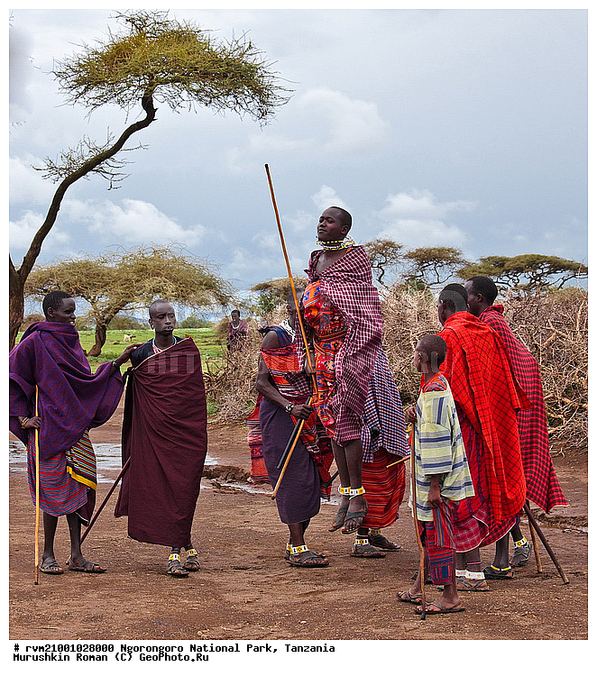 ������, �����, �����-�����, ����������, ��������, ������, �������, ������, ������, �����