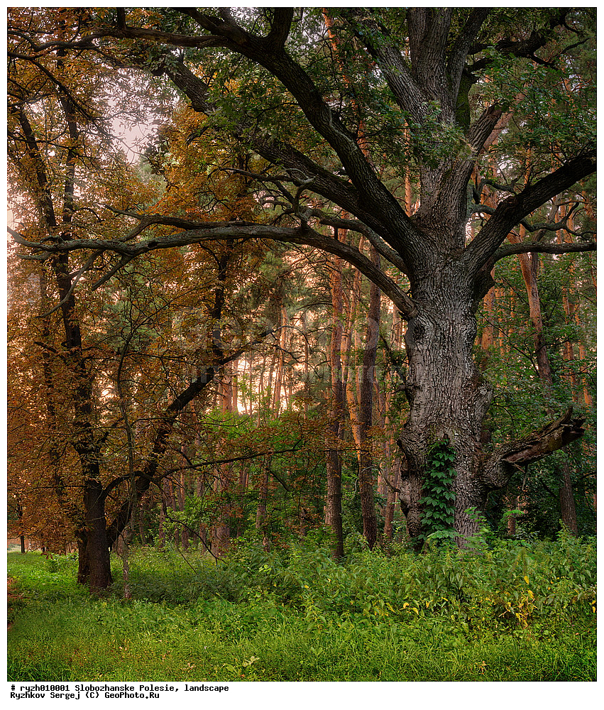  ������� ���, ������, �������, ���, ���, ������, �������, �������, �����