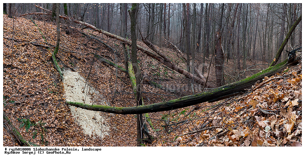  ������, �������, �������, ���, ������������ ����, ����, �����, ��������, ������, �������, �������, ��