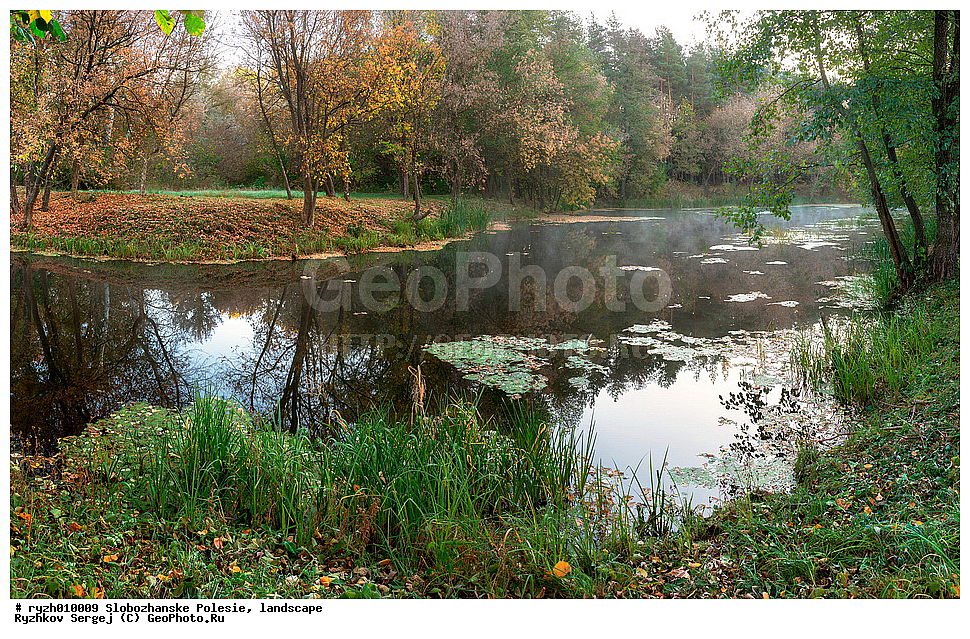  ������, ����, �����-�������� ������, ���, ������������ ����, �����, ��������, ������, �������, ����, �������, ����