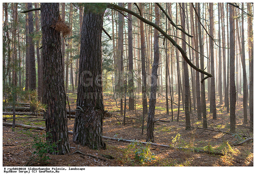  ���, �������, ���, ������������ ����, ������, �������, �����, �������� ���, �������� ���, �����, �����, �������, ����