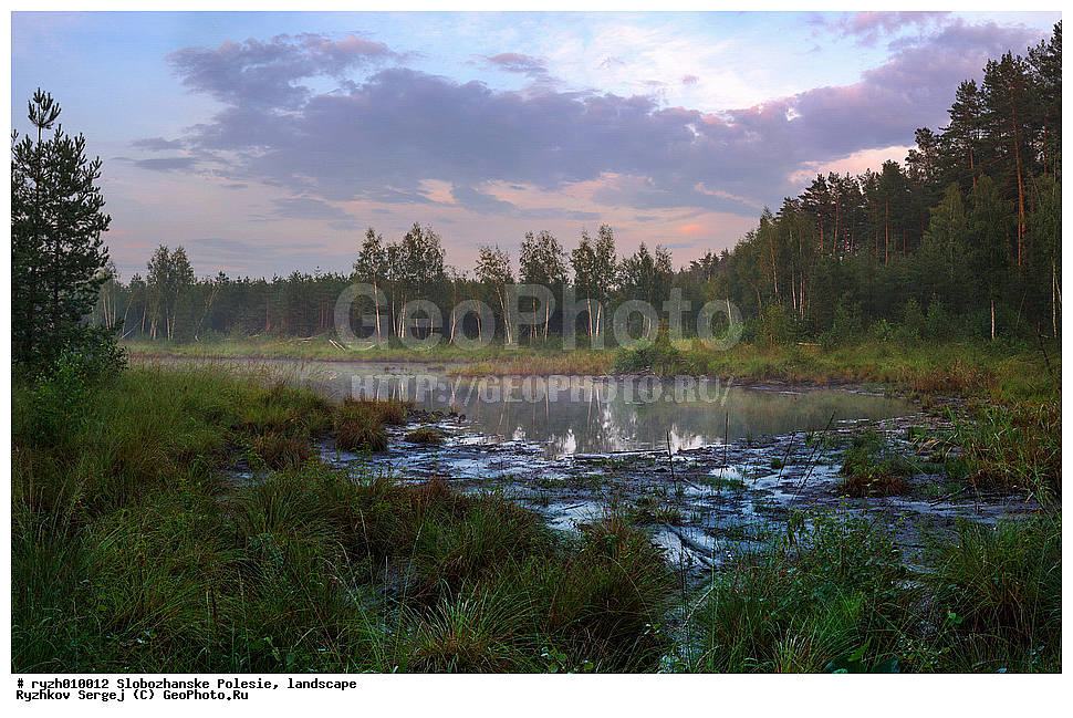 ������, �����, ���, ������������ ����, �����, ��������, ������, �������, �������, ��������, �������� ������, �������