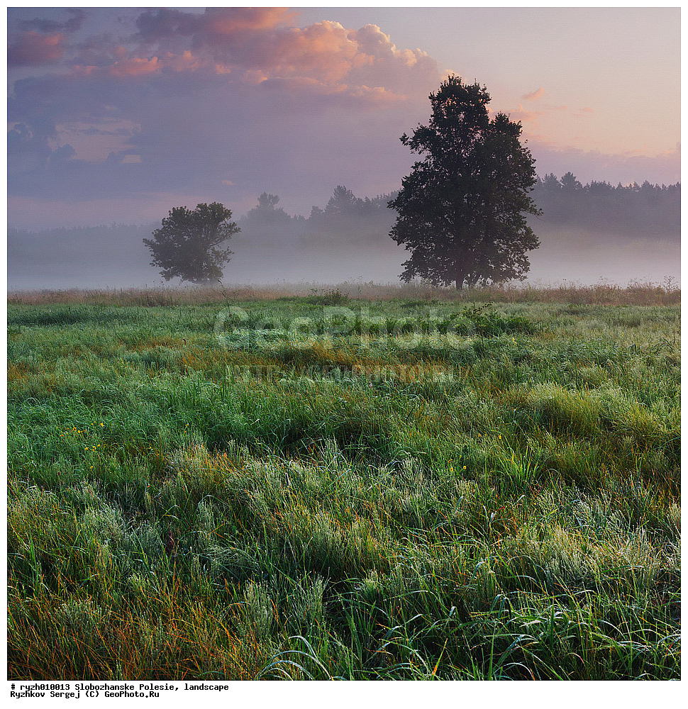   ������� ���, ������������� ������, ������, ��� ������, ������, �������, �������� ���, �������, ���, ���, ����, ������, �����, ����� ����, �������, ����, ���� �� �����, �����, �����, �������, ����