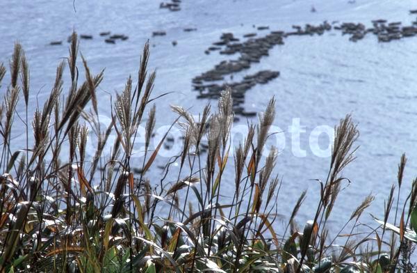 ������� ������, �������, �������� ����, �����, ����, ����, ������, ���������