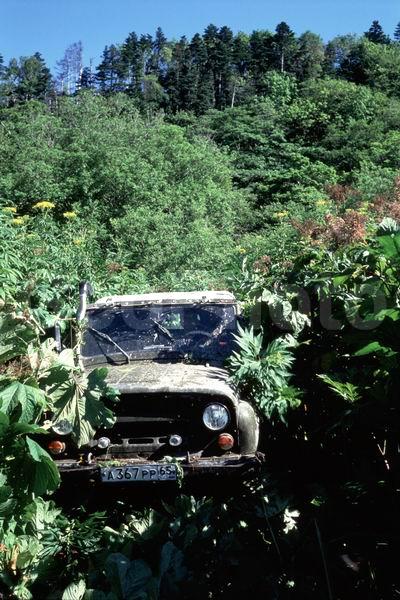 ������� ������, �������, �������� ����, �����, ����, ����, ������, ���������