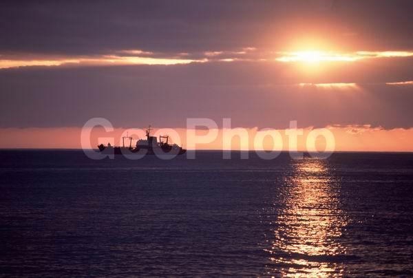 ������� ������, �������, �������� ����, �����, ����, ����, ������, ���������