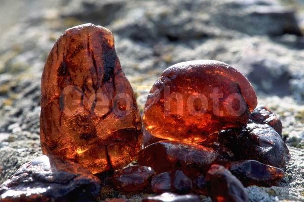 ������� ������, �������, �������� ����, �����, ����, ����, ������, ���������