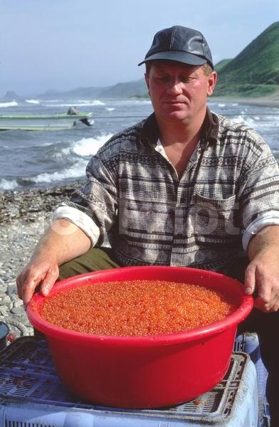 ����, �������, �������, �������������, ������, ����, ���� �������, ������� ����, ���������, ������