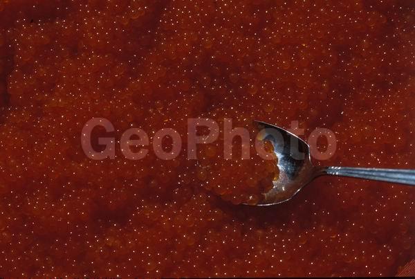 ����, �������, �������, �������������, ������, ����, ���� �������, ������� ����, ���������, ������