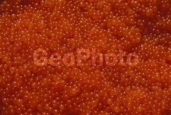 ����, �������, �������������, ������, ������� ����, ���������, ������