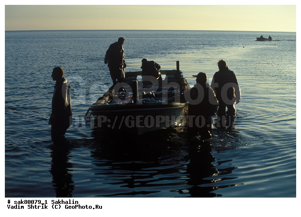 �������, ����, �������