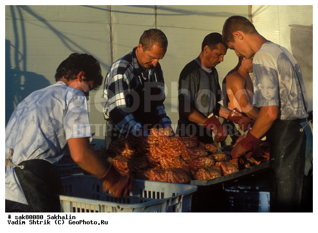 �������, ����, �������