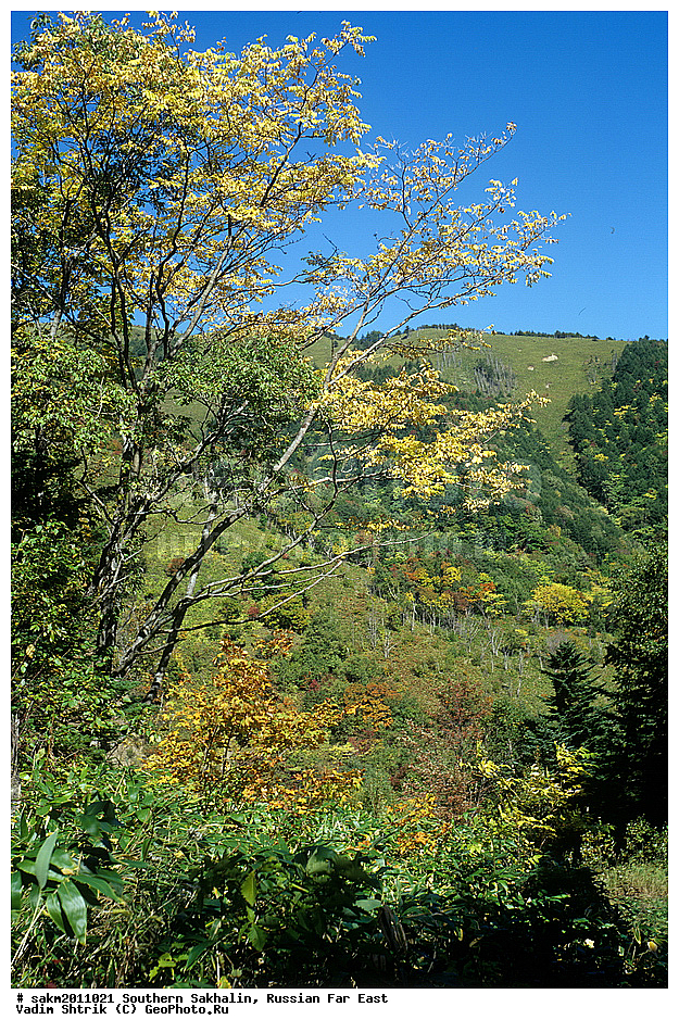 Far East, Russia, Southern Sakhalin, landscape, ������� ������, ��������, ������, ����� �������, ����, ���, �����, ������, �����