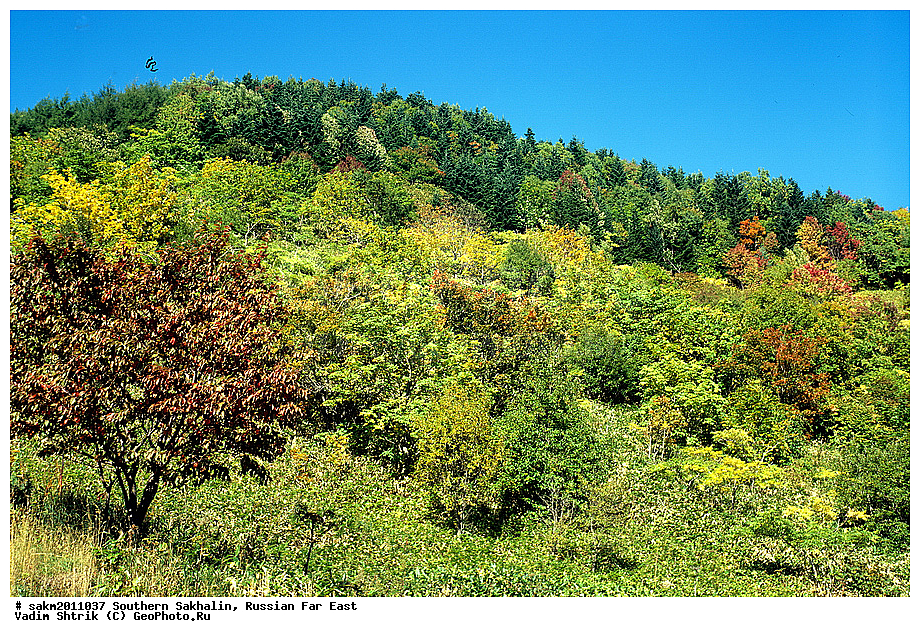 Far East, Russia, Southern Sakhalin, landscape, ������� ������, ��������, ������, ����� �������, ����, ���, �����, ������, �����