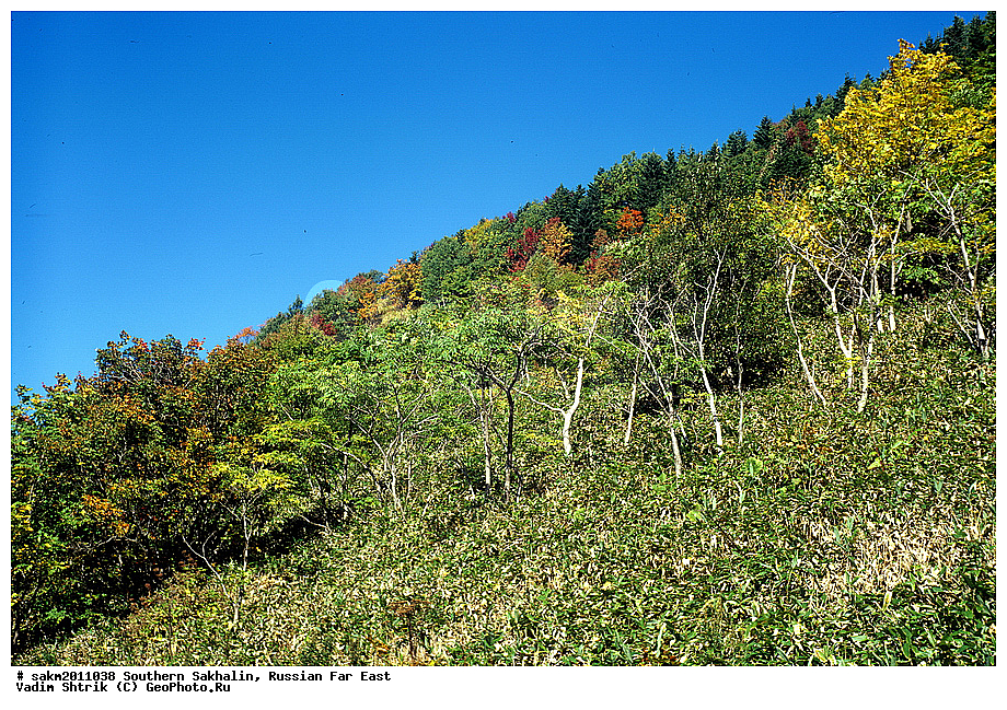 Far East, Russia, Southern Sakhalin, landscape, ������� ������, ��������, ������, ����� �������, ����, ���, �����, ������, �����