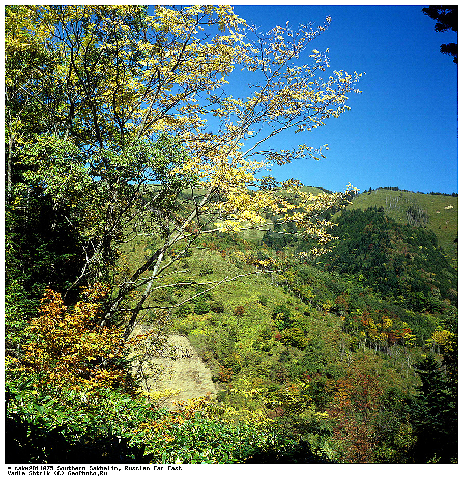 Far East, Russia, Southern Sakhalin, landscape, ������� ������, ��������, ������, ����� �������, ����, ���, �����, ������, �����