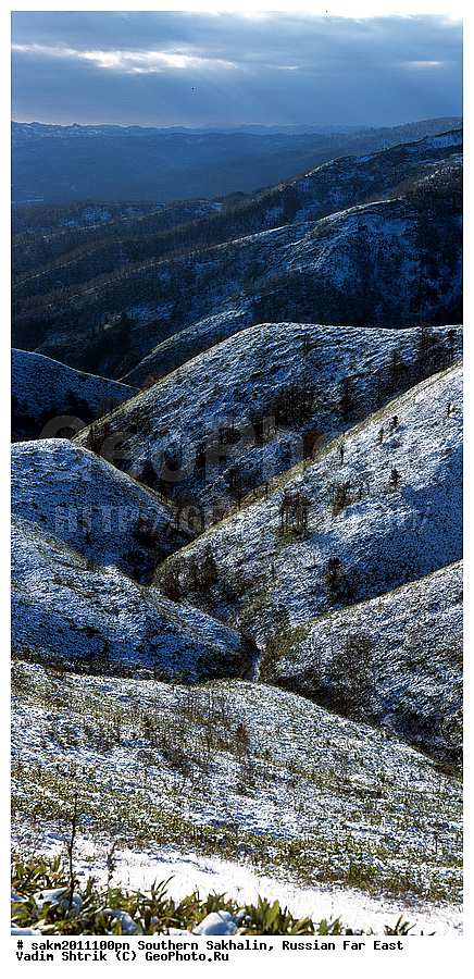 ������� ������, ������, ����� �������, ������