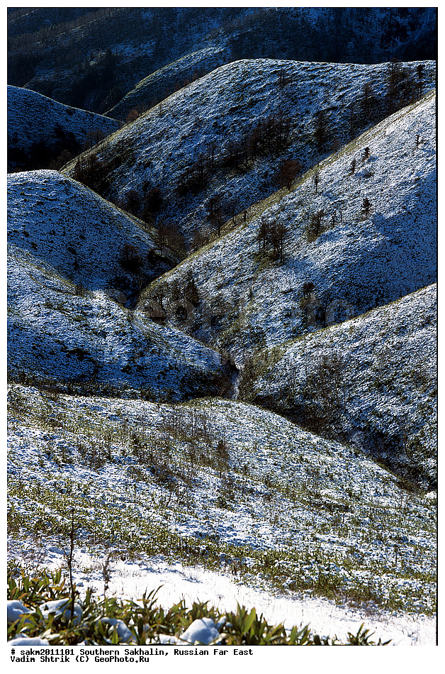 ������� ������, ������, ����� �������, ������