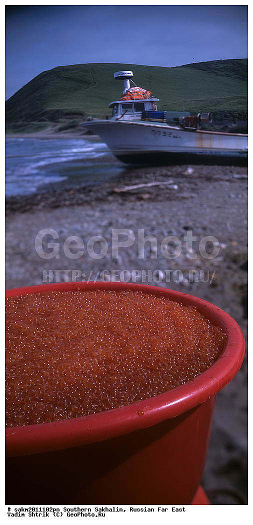 ������� ������, ������, ����� �������, ������