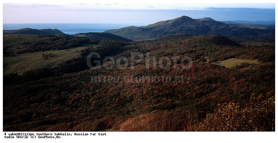 ������� ������, ������, ����� �������, ������