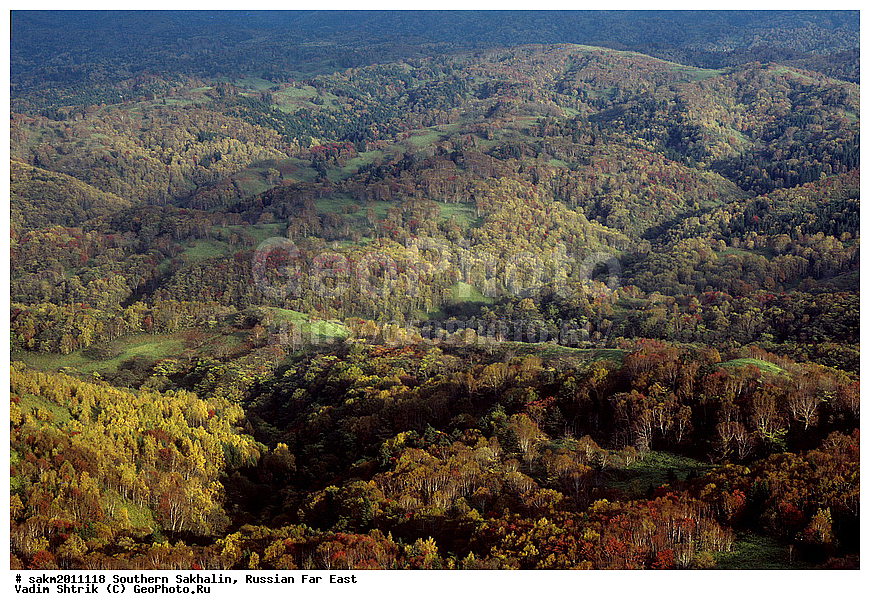 ������� ������, ������, ����� �������, ������