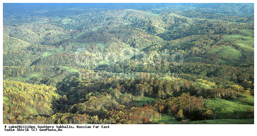 ������� ������, ������, ����� �������, ������