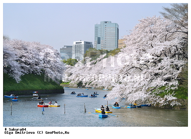 �������, �����, ������, �����